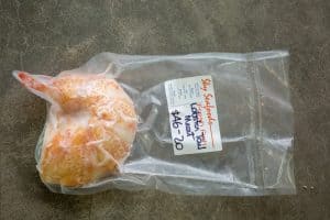Lobster Tail Meat