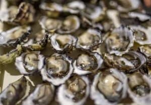 Oysters/doz - closed/live (Coffin Bay)