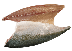 Kingfish