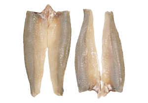 King George Whiting