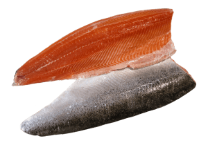 Atlantic Salmon